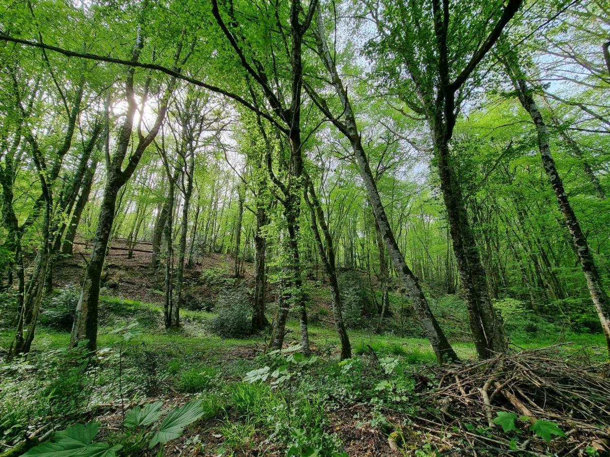 Le Domaine Du Cerf - Gites, Nature Et Spa Saint-Ouen-les-Vignes Exteriör bild