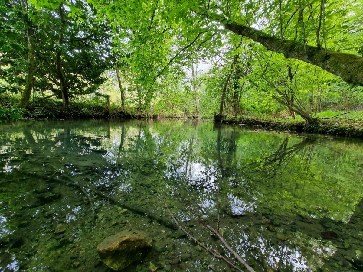 Le Domaine Du Cerf - Gites, Nature Et Spa Saint-Ouen-les-Vignes Exteriör bild